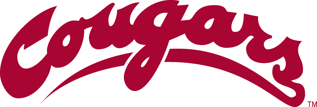 Washington State Cougars 1995-2010 Wordmark Logo DIY iron on transfer (heat transfer)